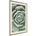 Wall Poster Beautiful Succulent - Scandinavian plant composition with green leaves 117115 additionalThumb 3
