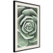 Wall Poster Beautiful Succulent - Scandinavian plant composition with green leaves 117115 additionalThumb 2