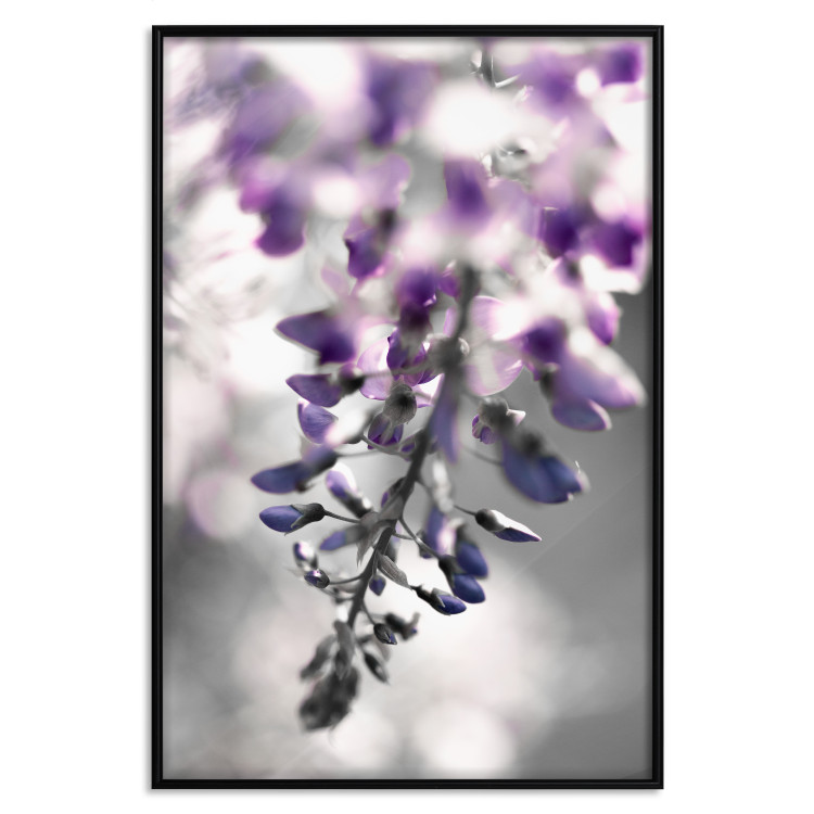 Poster Purple Bluebells - botanical composition with delicate purple flowers 121615 additionalImage 24