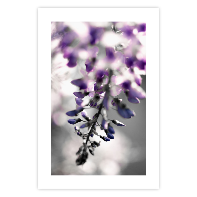 Poster Purple Bluebells - botanical composition with delicate purple flowers 121615 additionalImage 25