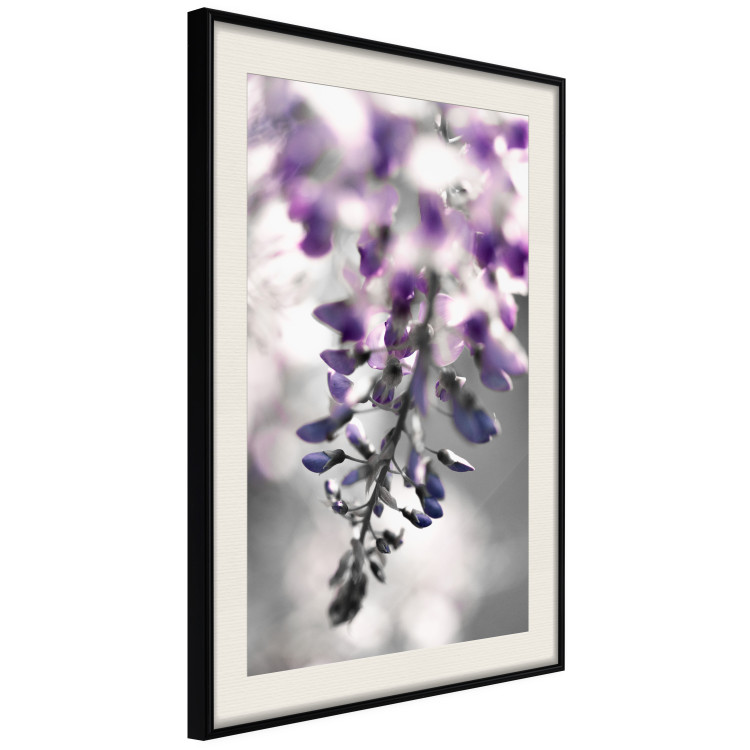Poster Purple Bluebells - botanical composition with delicate purple flowers 121615 additionalImage 3
