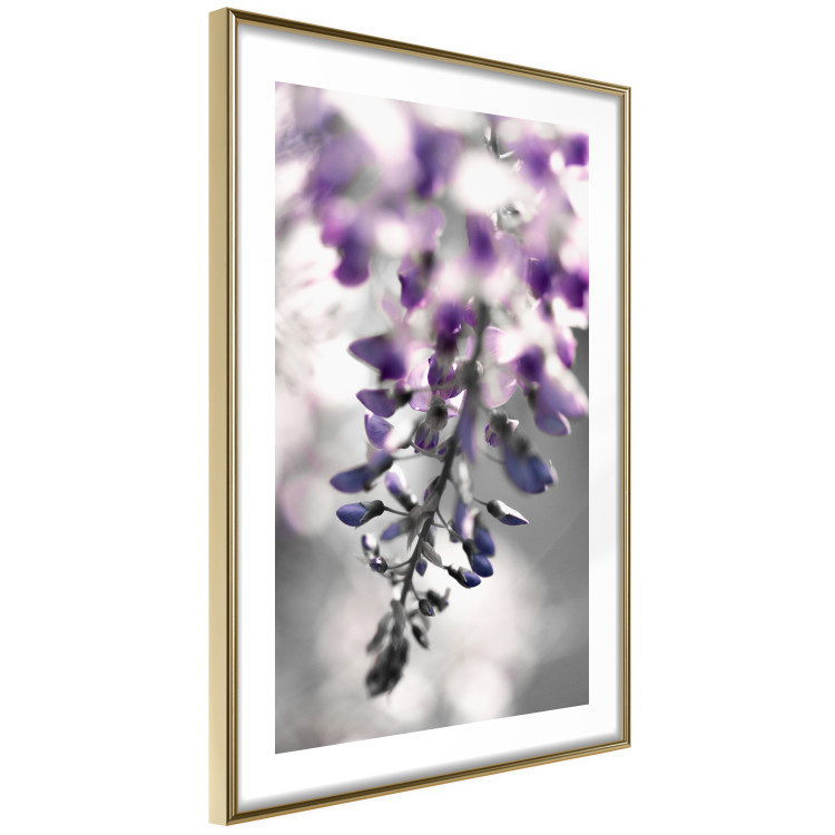 Poster Purple Bluebells - botanical composition with delicate purple flowers 121615 additionalImage 6