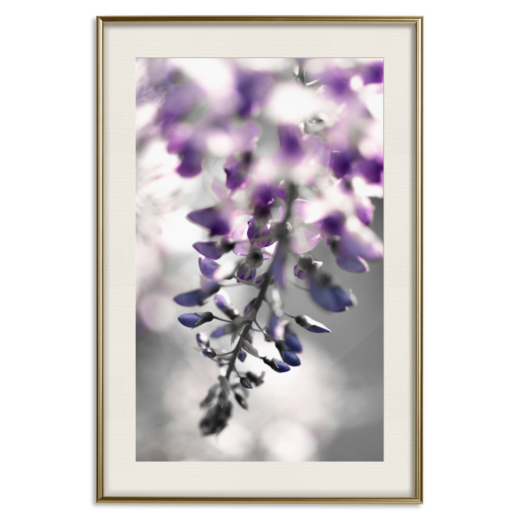 Poster Purple Bluebells - botanical composition with delicate purple flowers 121615 additionalImage 19