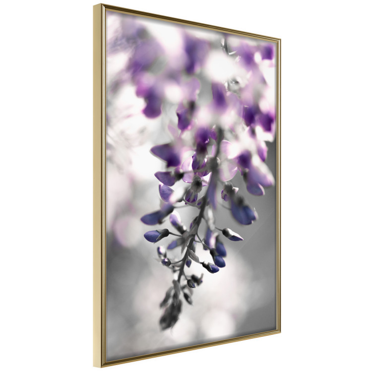 Poster Purple Bluebells - botanical composition with delicate purple flowers 121615 additionalImage 12