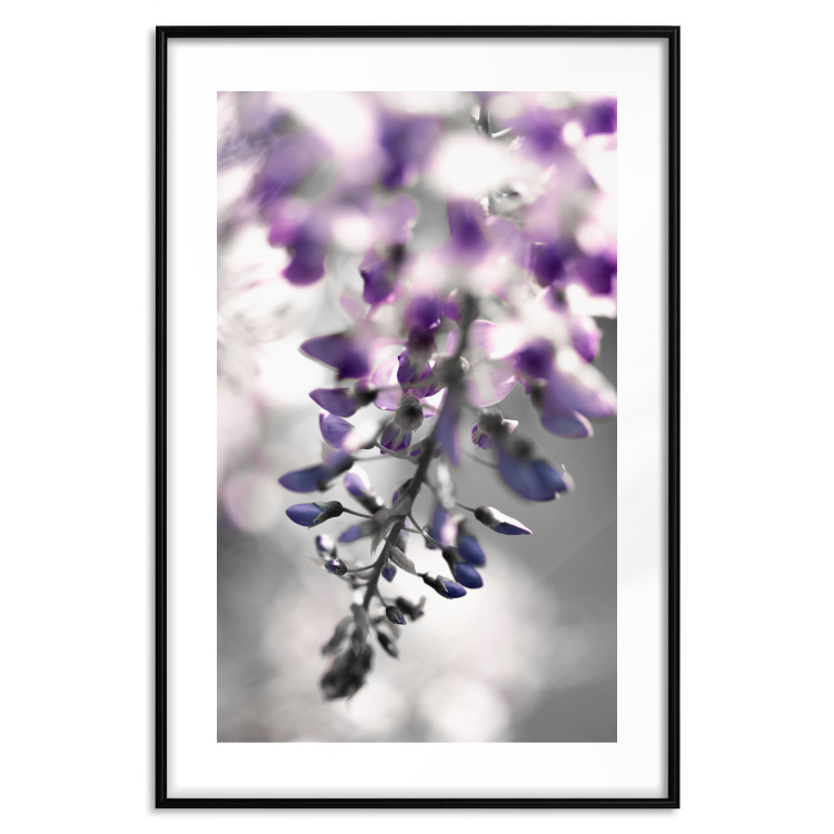 Poster Purple Bluebells - botanical composition with delicate purple flowers 121615 additionalImage 15