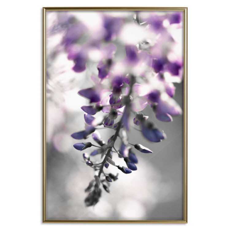 Poster Purple Bluebells - botanical composition with delicate purple flowers 121615 additionalImage 20