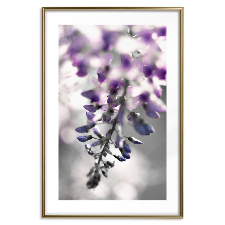 Poster Purple Bluebells - botanical composition with delicate purple flowers 121615 additionalImage 14