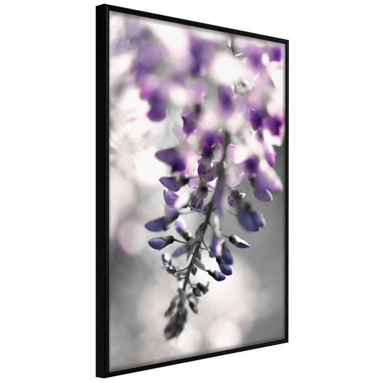 Poster Purple Bluebells - botanical composition with delicate purple flowers 121615 additionalImage 12