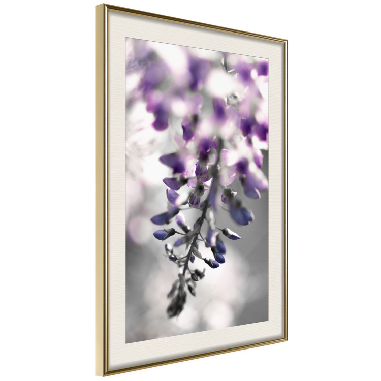 Poster Purple Bluebells - botanical composition with delicate purple flowers 121615 additionalImage 2