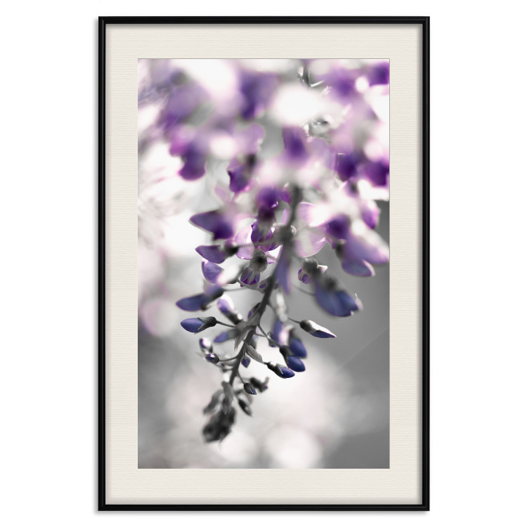 Poster Purple Bluebells - botanical composition with delicate purple flowers 121615 additionalImage 18