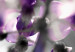 Poster Purple Bluebells - botanical composition with delicate purple flowers 121615 additionalThumb 11