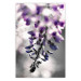 Poster Purple Bluebells - botanical composition with delicate purple flowers 121615