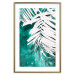 Wall Poster Emerald Shade - plant texture of white leaves on a green background 122315 additionalThumb 16