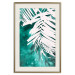 Wall Poster Emerald Shade - plant texture of white leaves on a green background 122315 additionalThumb 19