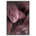 Wall Poster Velvety Leaves - landscape of shiny brown leaves from various plants 123515 additionalThumb 18