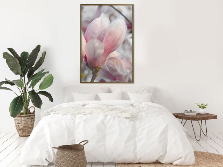 Poster Harbinger of Spring - spring plant with delicately pink flower 126215 additionalImage 5