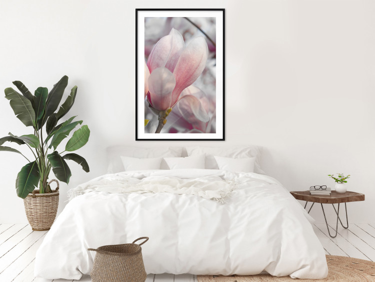 Poster Harbinger of Spring - spring plant with delicately pink flower 126215 additionalImage 4