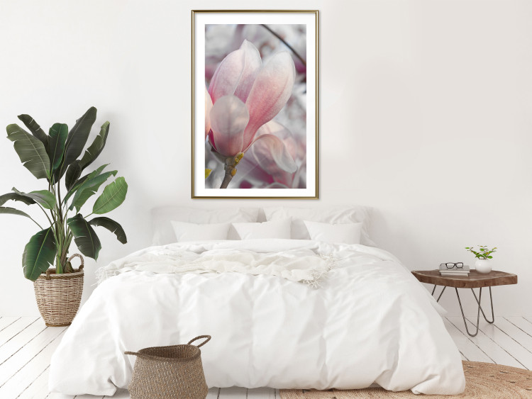 Poster Harbinger of Spring - spring plant with delicately pink flower 126215 additionalImage 13