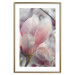 Poster Harbinger of Spring - spring plant with delicately pink flower 126215 additionalThumb 14