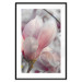 Poster Harbinger of Spring - spring plant with delicately pink flower 126215 additionalThumb 15