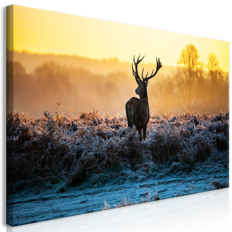 Large canvas print Winter Afternoon II [Large Format] 128515 additionalImage 3