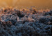 Large canvas print Winter Afternoon II [Large Format] 128515 additionalThumb 4