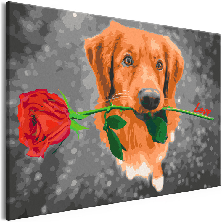 Paint by number Dog With Rose  132315 additionalImage 5