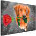Paint by number Dog With Rose  132315 additionalThumb 5