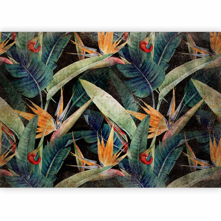 Wall Mural Vegetable landscape - exotic jungle leaves with flowers on black background 138615 additionalImage 5