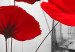 Round Canvas Flowery Tale - Red Poppies on an Abstract Gray Background 148615 additionalThumb 2