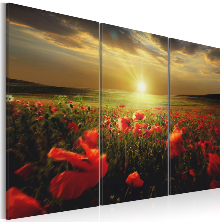 Canvas Print The sky of my land - triptych 50215 additionalImage 2