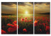 Canvas Print The sky of my land - triptych 50215