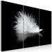 Canvas Art Print A small feather 58515 additionalThumb 2