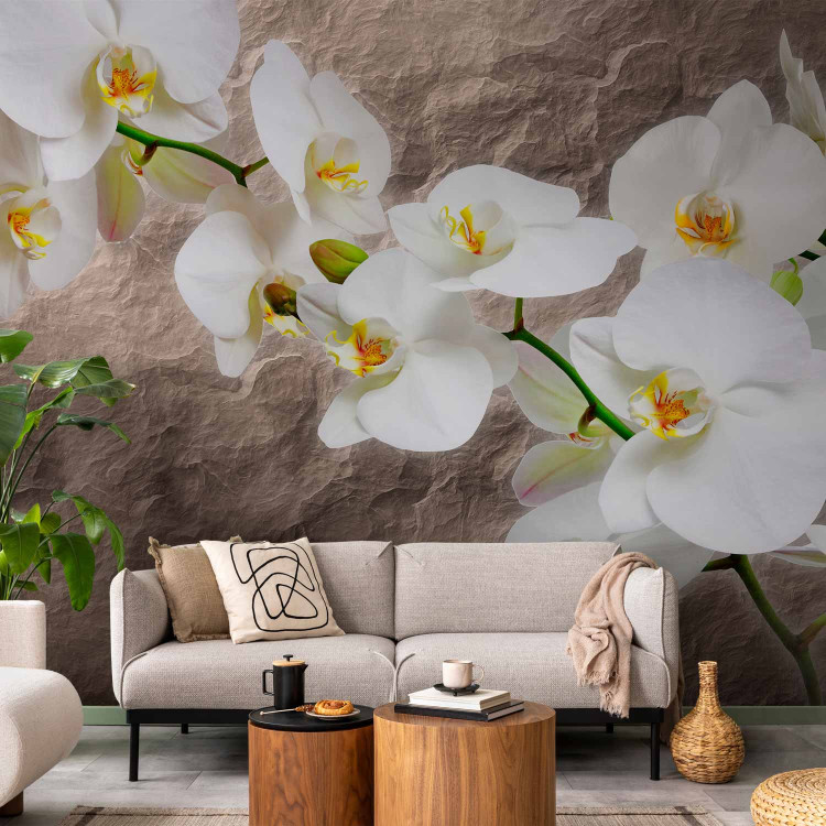 Photo Wallpaper Orchid Flowers - Floral Motif on a Background with Irregular Texture 60615