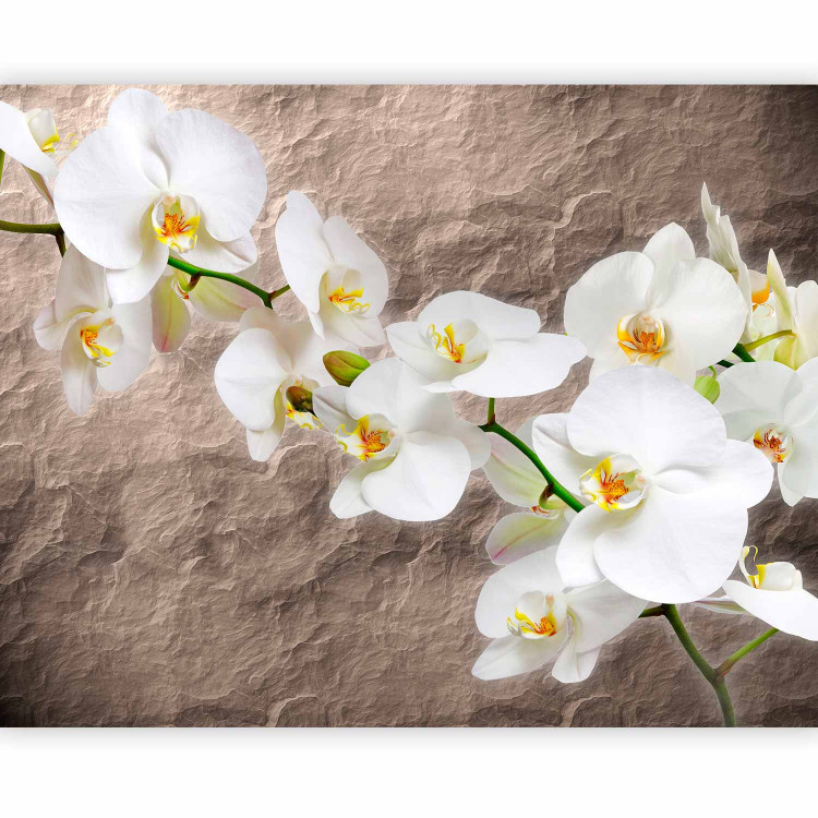 Photo Wallpaper Orchid Flowers - Floral Motif on a Background with Irregular Texture 60615 additionalImage 1