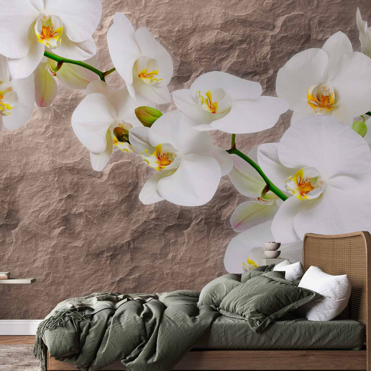 Photo Wallpaper Orchid Flowers - Floral Motif on a Background with Irregular Texture 60615 additionalImage 2