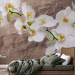 Photo Wallpaper Orchid Flowers - Floral Motif on a Background with Irregular Texture 60615 additionalThumb 2