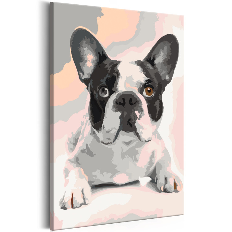 Paint by number French Bulldog  107125 additionalImage 6