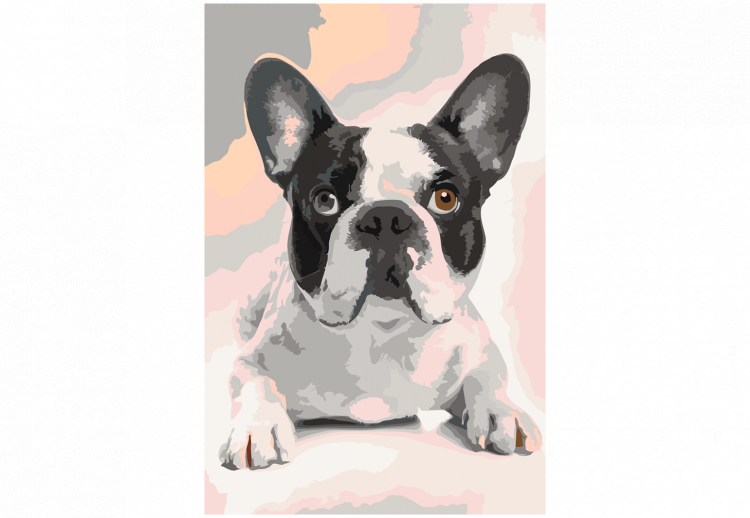 Paint by number French Bulldog  107125 additionalImage 7
