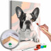Paint by number French Bulldog  107125