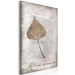Canvas Leaf in Rustic Frame (1-part) - Nature on Textured Background 115025 additionalThumb 2