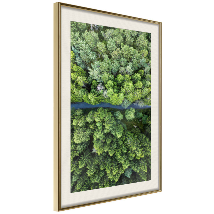 Poster Path through the forest - green landscape of forest trees from a bird's eye view 116425 additionalImage 2