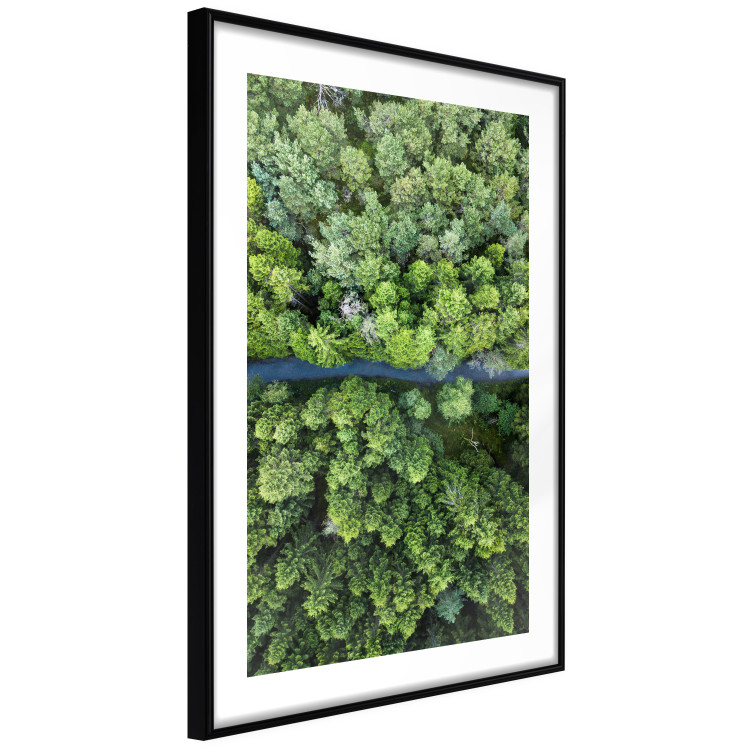 Poster Path through the forest - green landscape of forest trees from a bird's eye view 116425 additionalImage 11