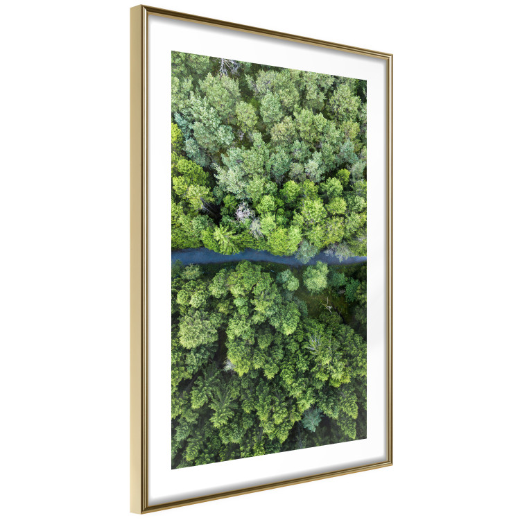 Poster Path through the forest - green landscape of forest trees from a bird's eye view 116425 additionalImage 8