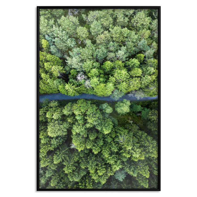 Poster Path through the forest - green landscape of forest trees from a bird's eye view 116425 additionalImage 18