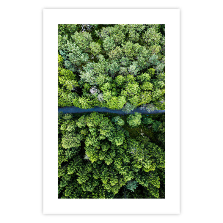 Poster Path through the forest - green landscape of forest trees from a bird's eye view 116425 additionalImage 25