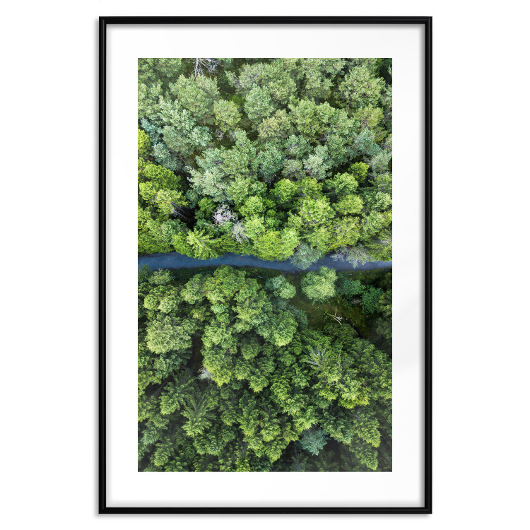 Poster Path through the forest - green landscape of forest trees from a bird's eye view 116425 additionalImage 15