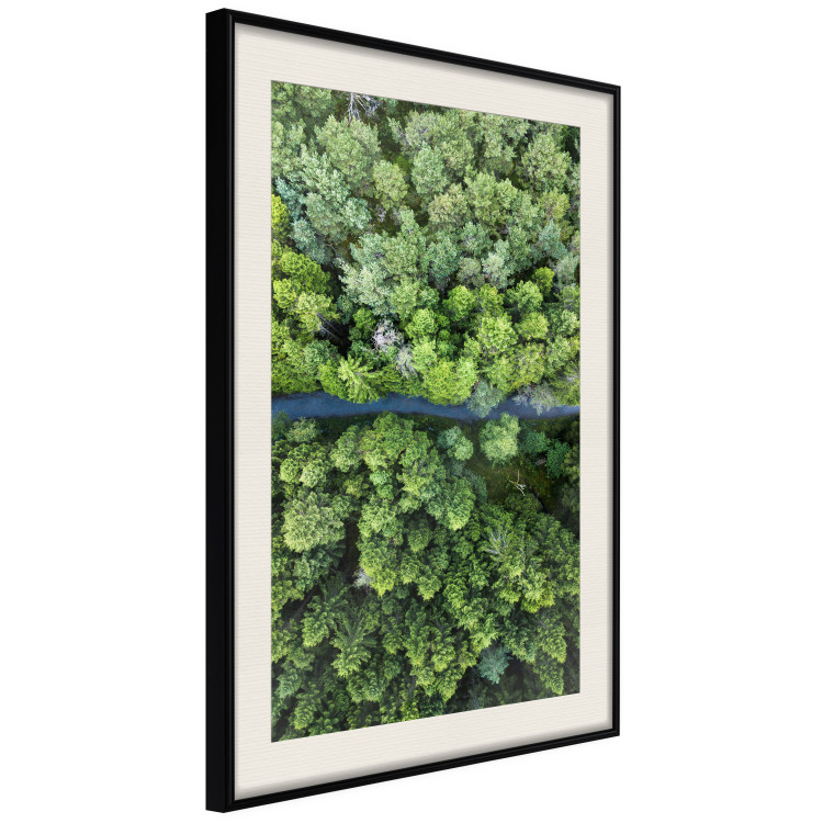 Poster Path through the forest - green landscape of forest trees from a bird's eye view 116425 additionalImage 3