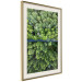 Poster Path through the forest - green landscape of forest trees from a bird's eye view 116425 additionalThumb 2