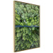 Poster Path through the forest - green landscape of forest trees from a bird's eye view 116425 additionalThumb 14